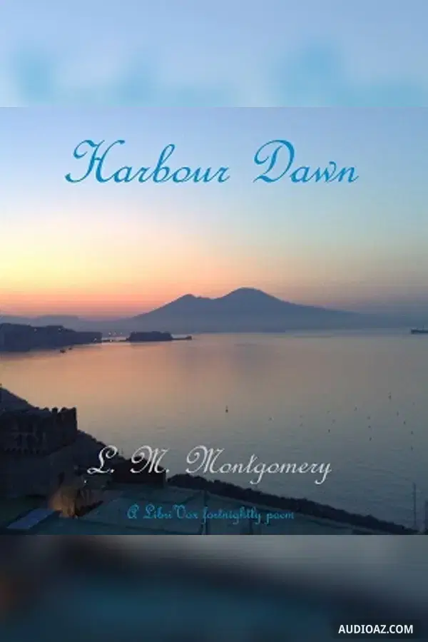 Harbour Dawn