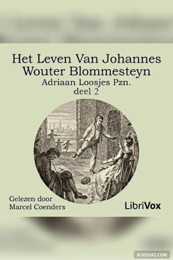 leven van Johannes Wouter Blommesteyn - deel 2