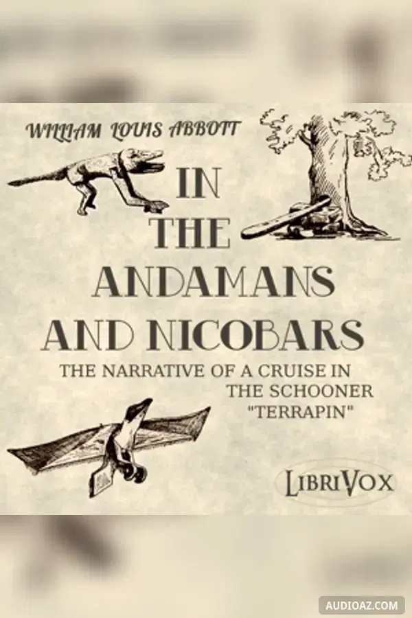 In the Andamans and Nicobars