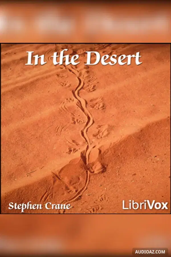 In the Desert
