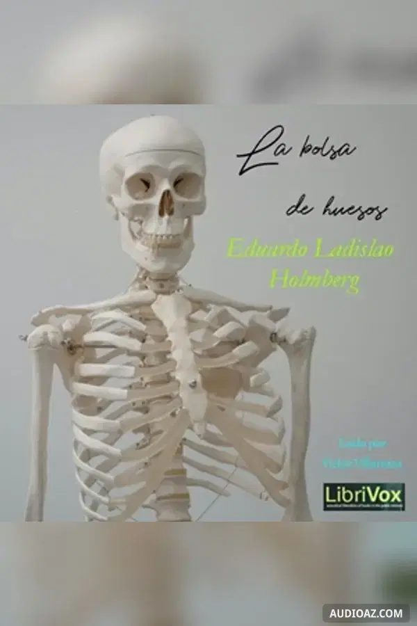 bolsa de huesos