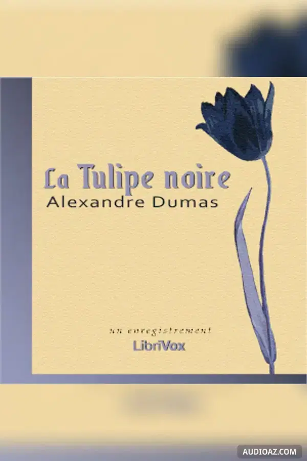 Tulipe noire