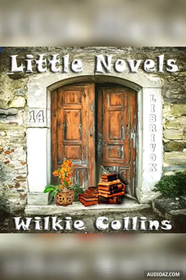 Little Novels