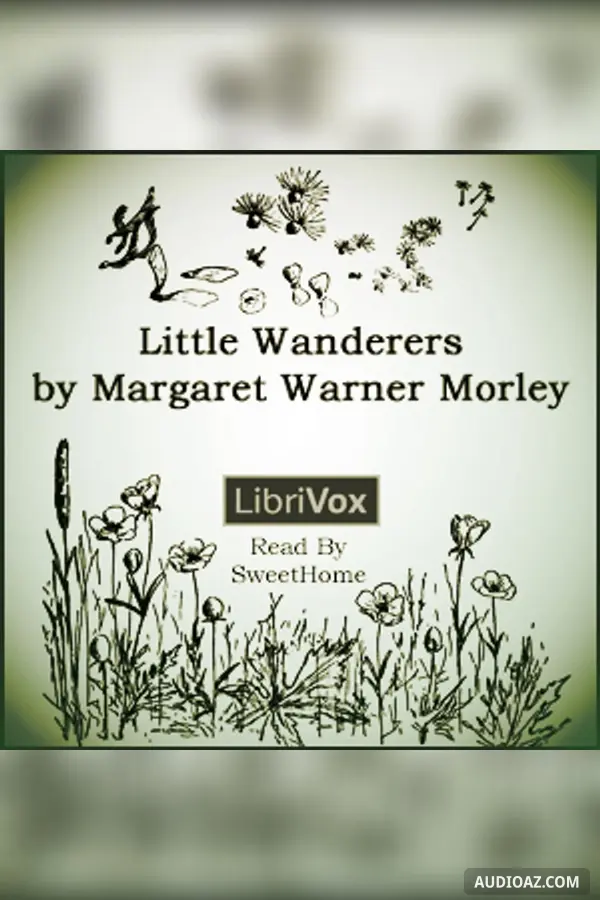 Little Wanderers