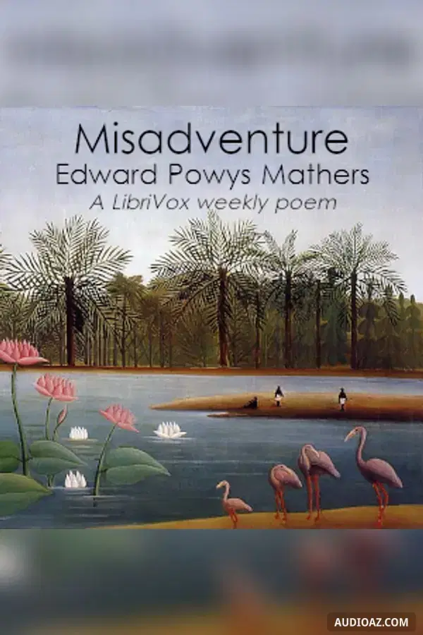 Misadventure