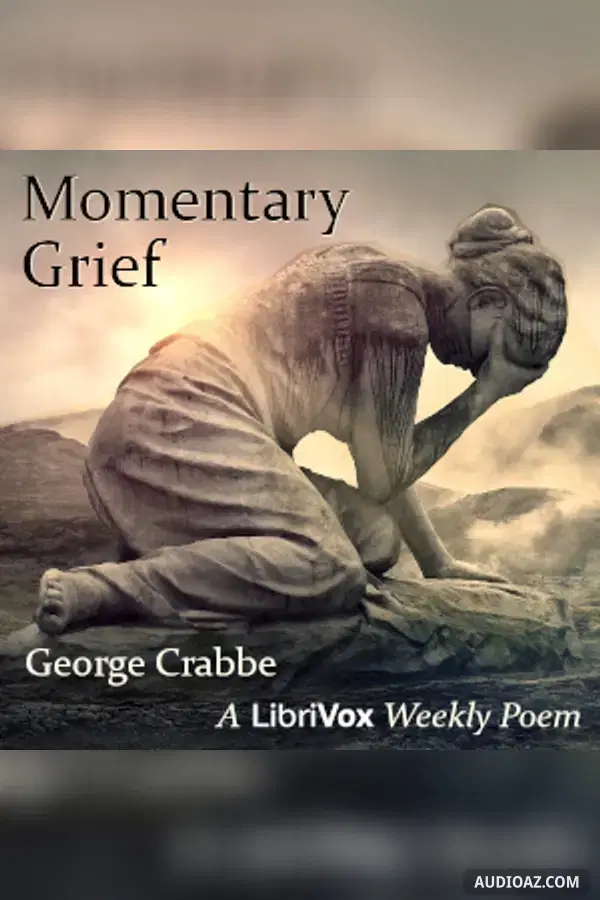 Momentary Grief - Free Audiobook
