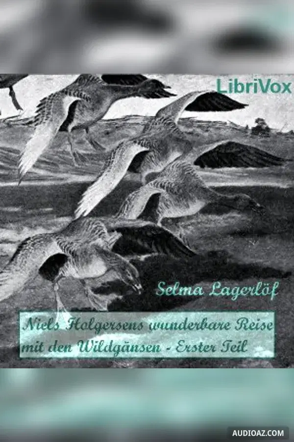 Niels Holgersens wunderbare Reise mit den Wildgänsen - Erster Teil