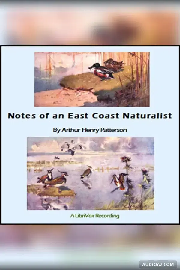Notes of An East Coast Naturalist