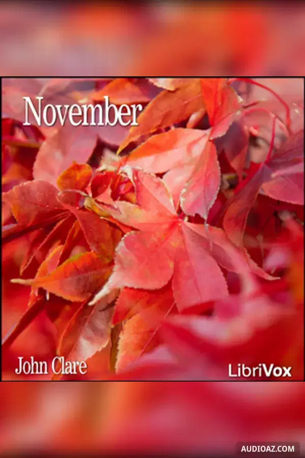 November