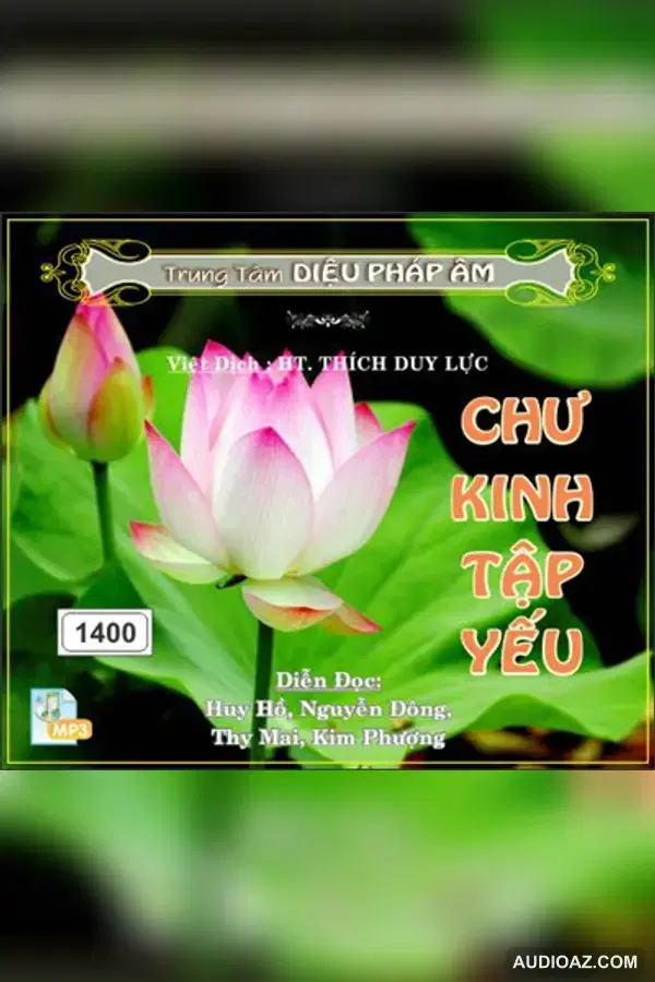 Chư Kinh Tập Yếu - HT Thích Duy Lực dịch - Kinh Điển Đại Thừa - Audio Phật Pháp