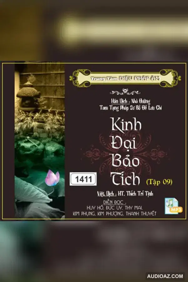 Kinh Đại Bảo Tích tập 9 - Kinh Điển Đại Thừa - Audio Phật Pháp