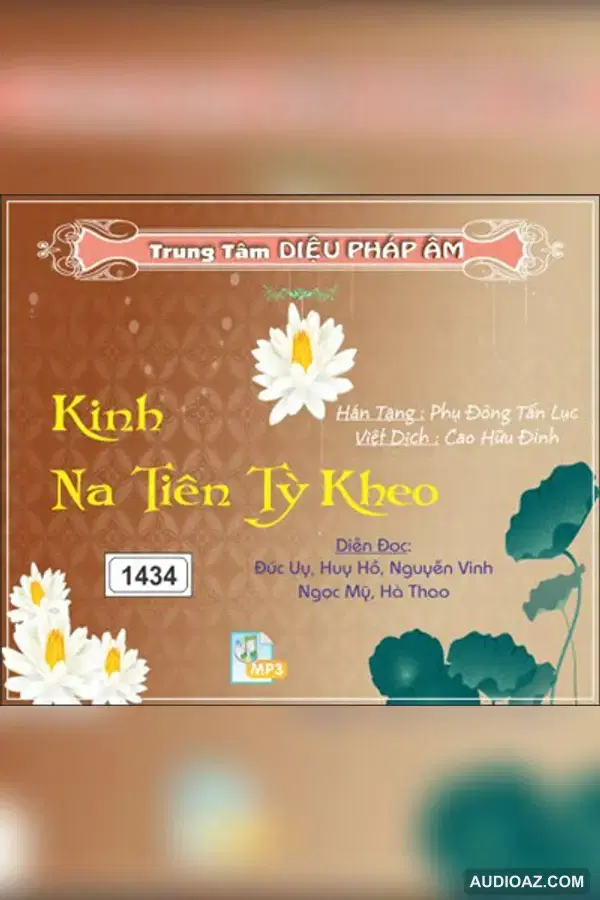 Kinh Na Tiên Tỳ Kheo 256kbps - Kinh Điển Đại Thừa - Audio Phật Pháp