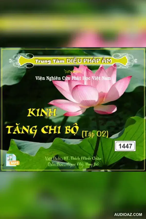 Kinh Tăng Chi Bộ tập 2 64kbps - Đại Tạng Kinh Nam Truyền 64kbps - Audio Phật Pháp