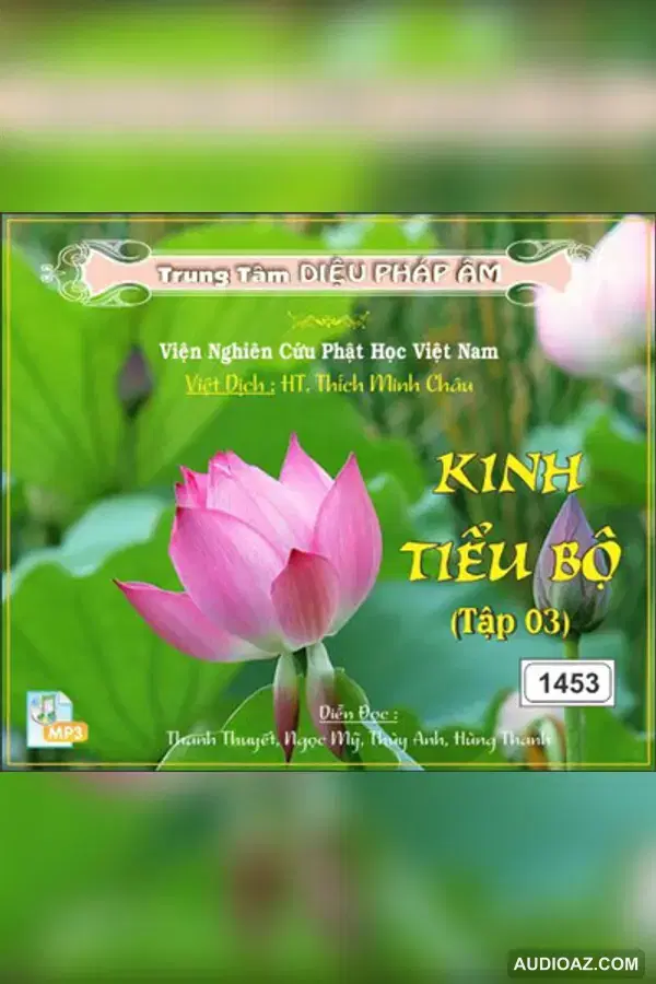 Kinh Tiểu Bộ tập 03 64kbps - Đại Tạng Kinh Nam Truyền 64kbps - Audio Phật Pháp