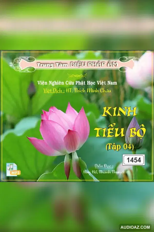 Kinh Tiểu Bộ tập 04 64kbps - Đại Tạng Kinh Nam Truyền 64kbps - Audio Phật Pháp