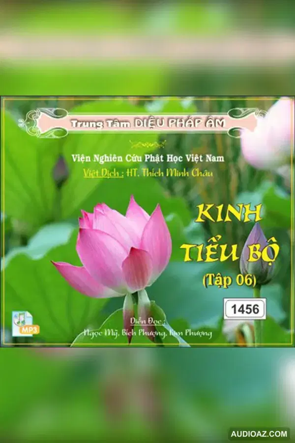 Kinh Tiểu Bộ tập 06 64kbps - Đại Tạng Kinh Nam Truyền 64kbps - Audio Phật Pháp
