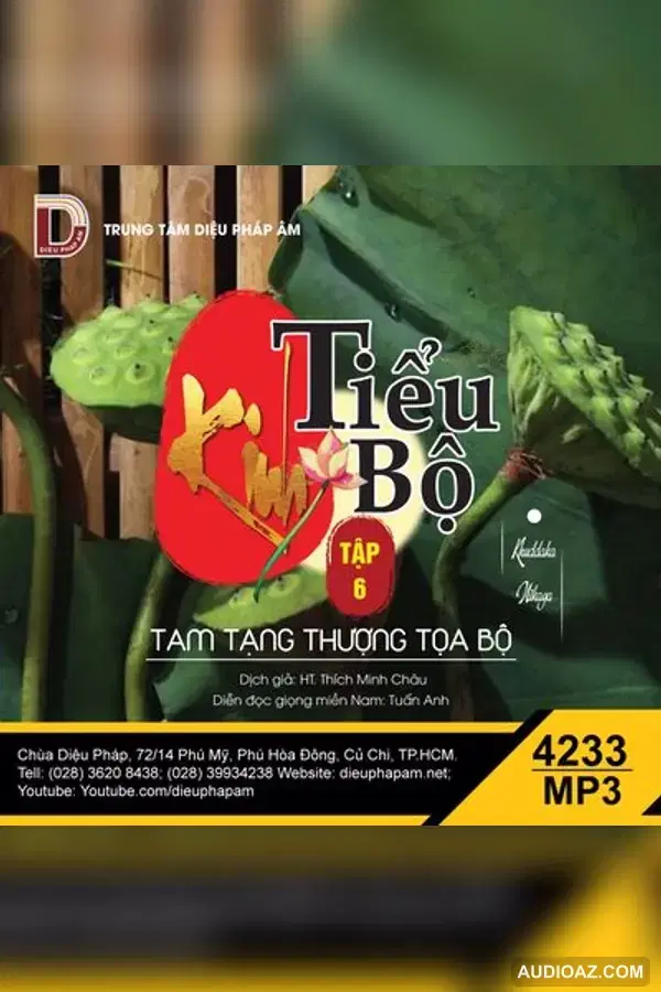 Kinh Tiểu Bộ tập 6 - giọng miền Nam - Đại Tạng Kinh Nam Truyền 128kbps - Audio Phật Pháp