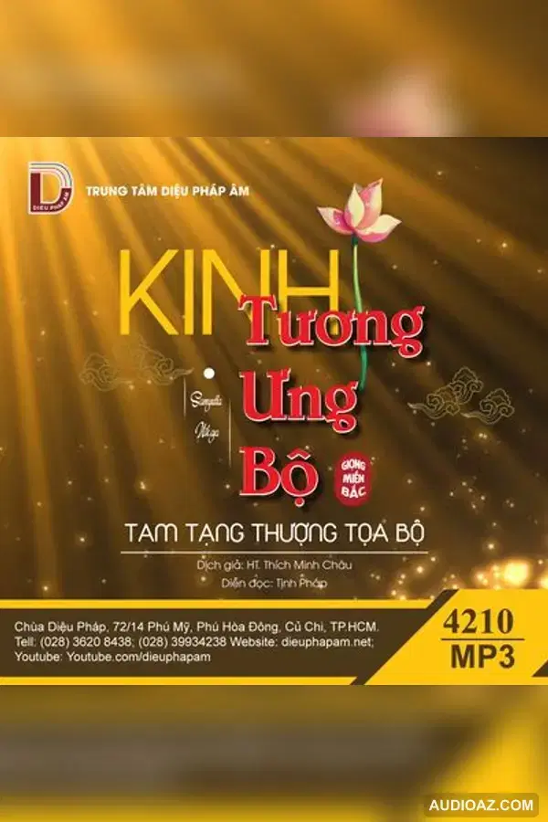 Kinh Tương Ưng Bộ - giọng miền Bắc - Đại Tạng Kinh Nam Truyền 128kbps - Audio Phật Pháp