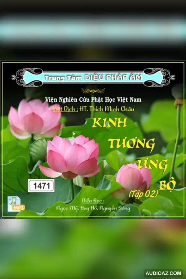 Kinh Tương Ưng Bộ tập 2 64kbps - Đại Tạng Kinh Nam Truyền 64kbps - Audio Phật Pháp