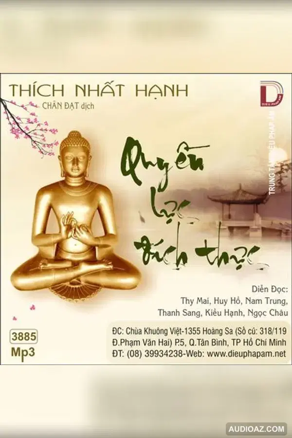 Quyền Lực Đích Thực 64kbps - HT Thiền Sư Thích Nhất Hạnh - Audio Phật Pháp