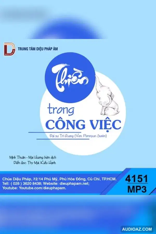 Thiền Trong Công Việc - Đại Sư Trí Quang - Loại Khác - Audio Phật Pháp