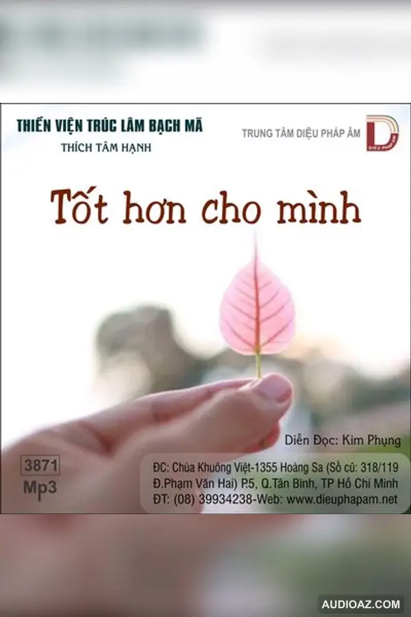 Tốt Hơn Cho Mình - Thích Tâm Hạnh - Loại Khác - Audio Phật Pháp