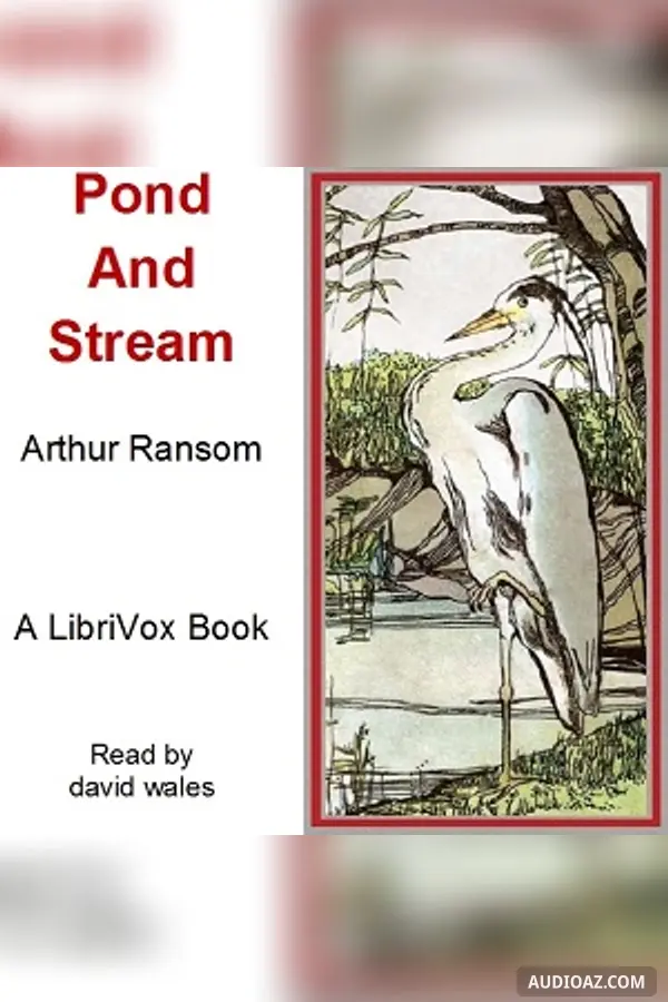 Pond And Stream