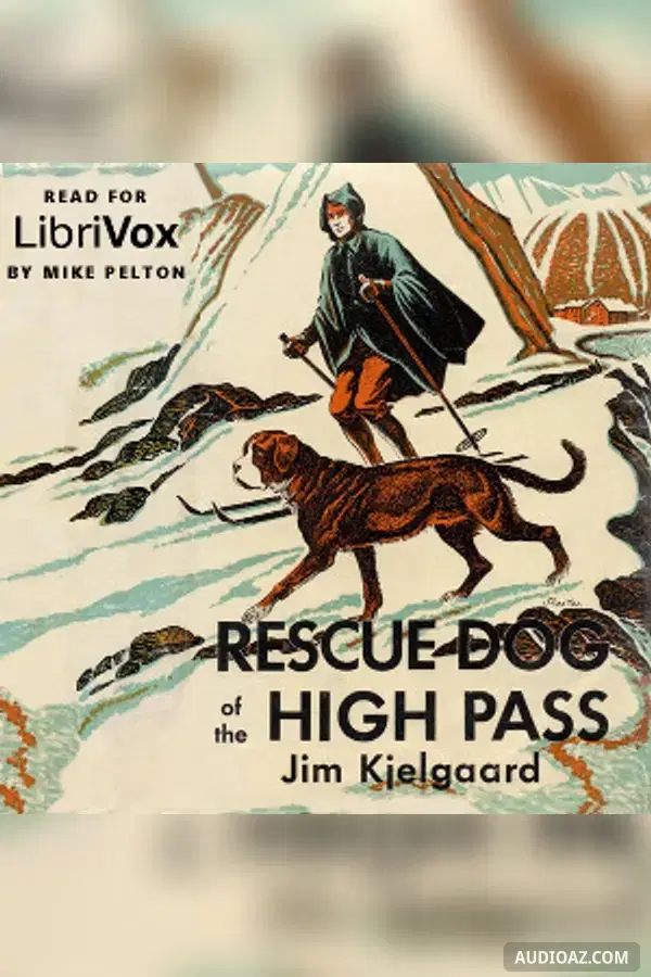 Rescue Dog of the High Pass