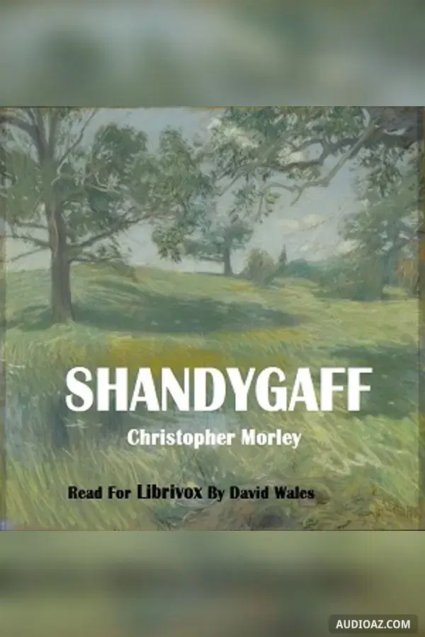 Shandygaff