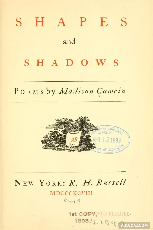 Shapes and Shadows