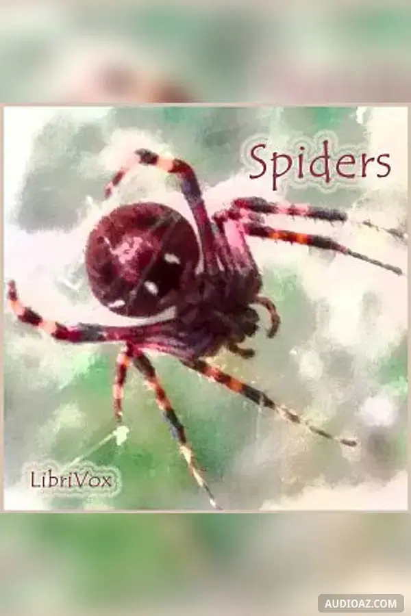 Spiders