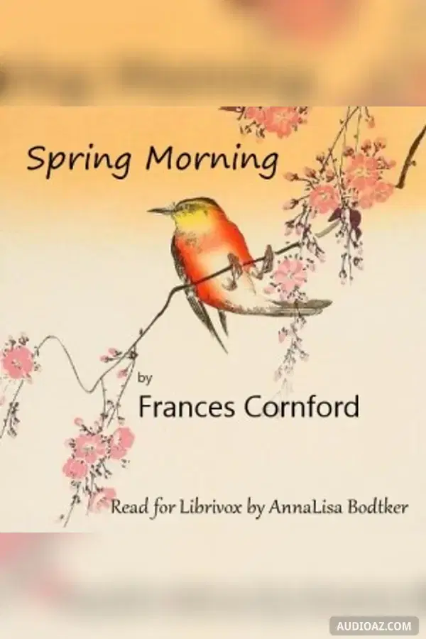 Spring Morning