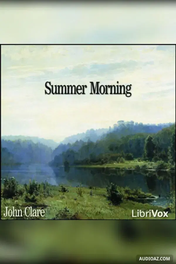 Summer Morning