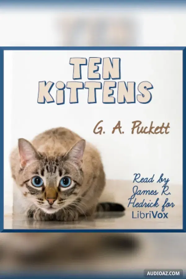 Ten Kittens
