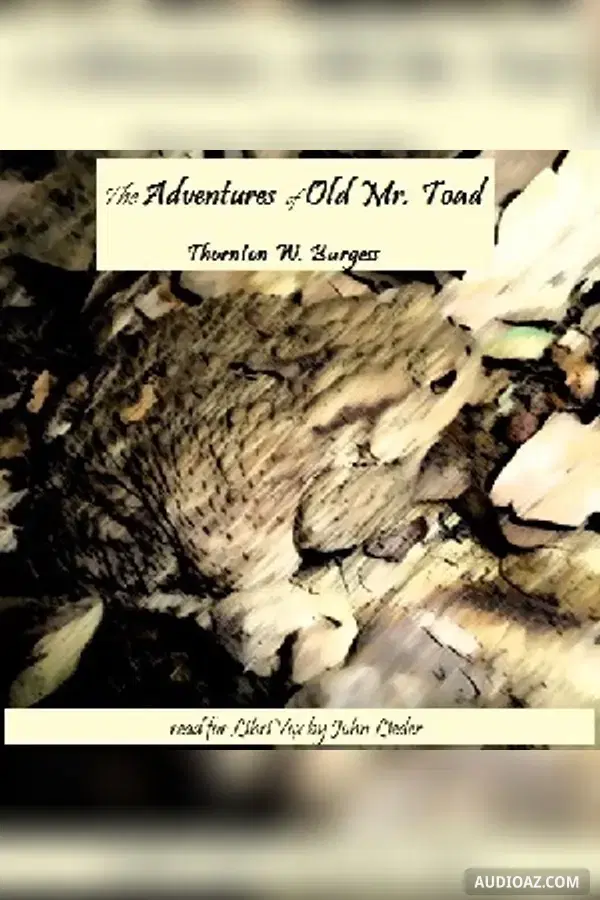 The Adventures of Old Mr. Toad