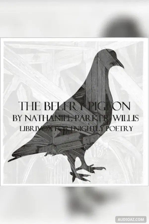 The Belfry Pigeon