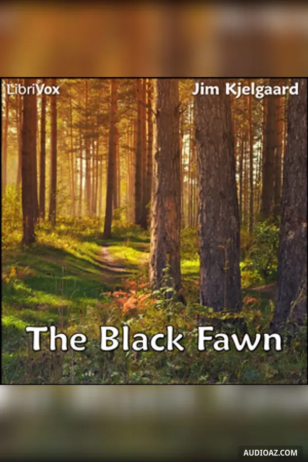The Black Fawn