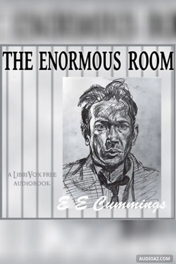 The Enormous Room