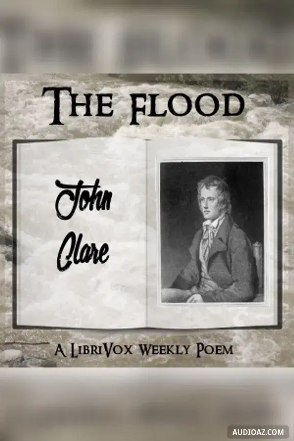 The Flood