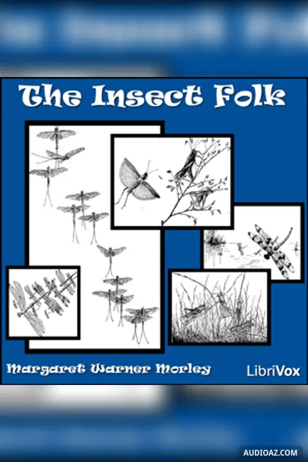 The Insect Folk - Free Audiobook