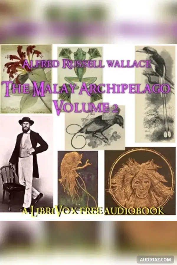 The Malay Archipelago, Vol. 2