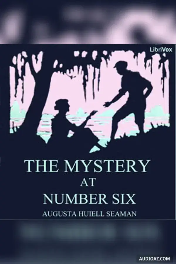 The Mystery at Number Six
