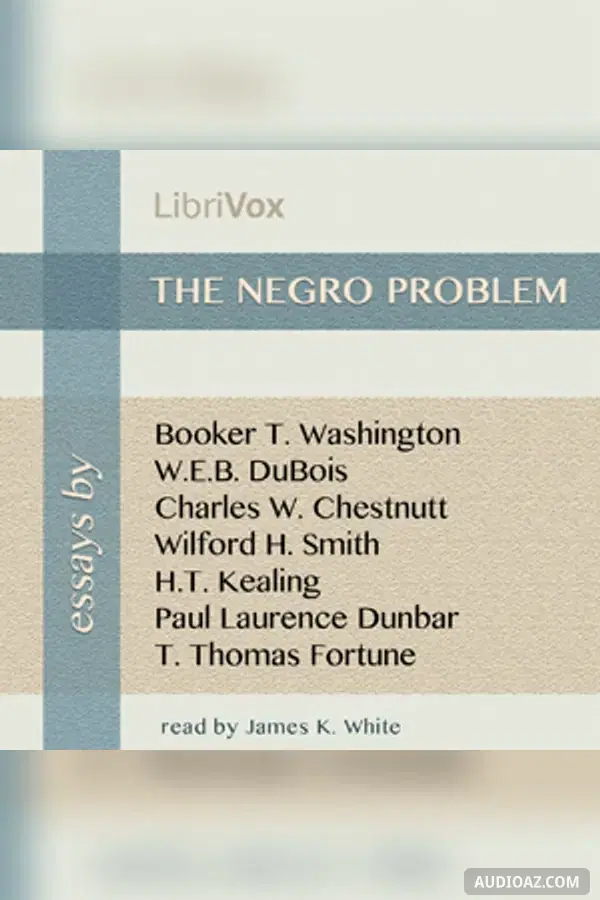The Negro Problem