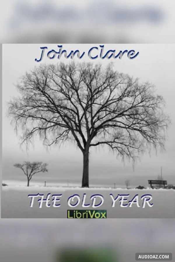 The Old Year