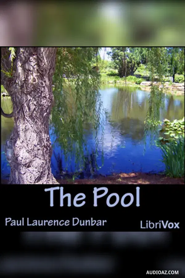 The Pool