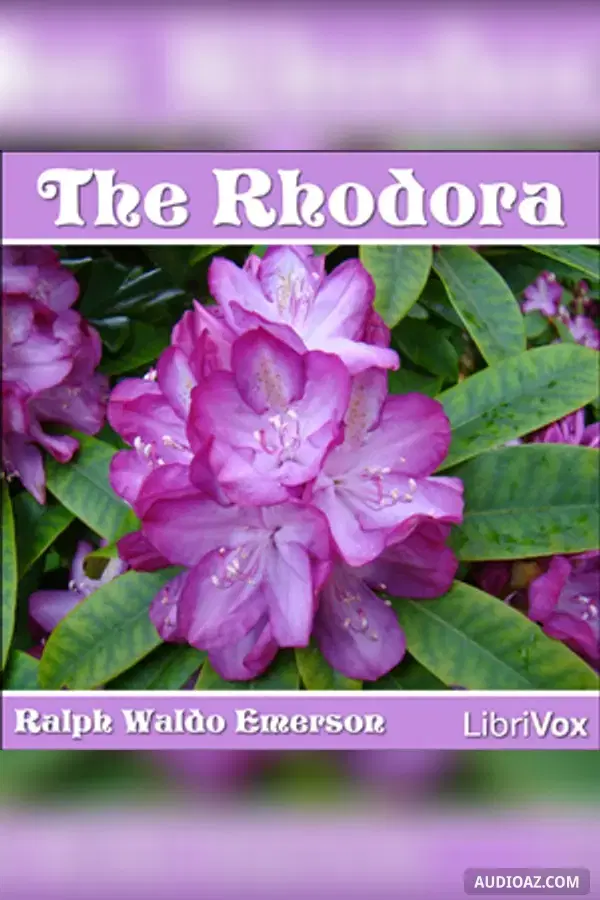 The Rhodora