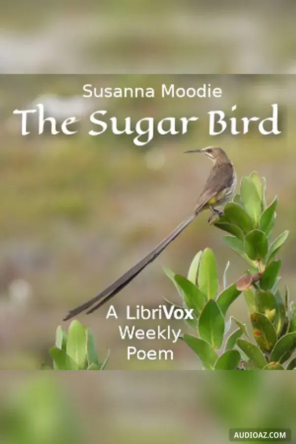 The Sugar Bird