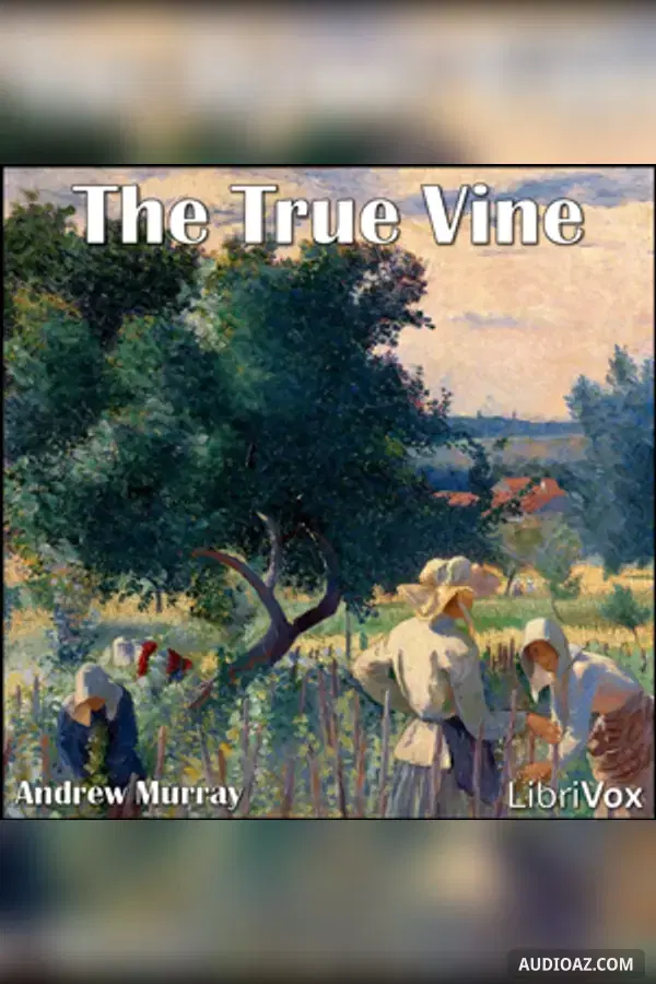The True Vine