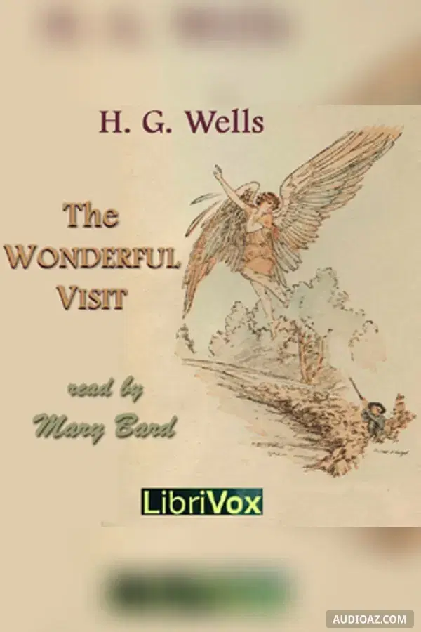 The Wonderful Visit