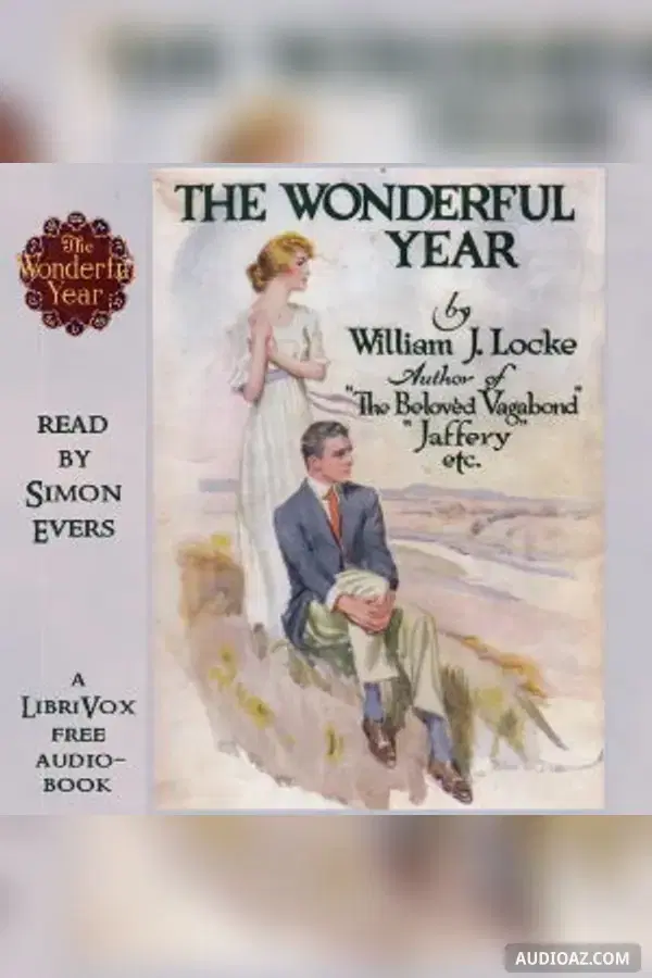 The Wonderful Year